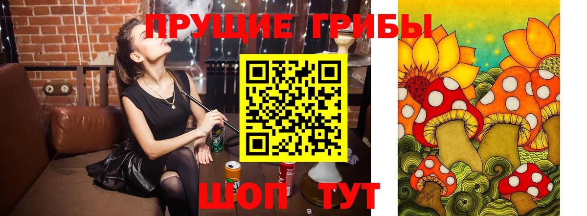 Галлюциногенные грибы Psilocybe Чусовой