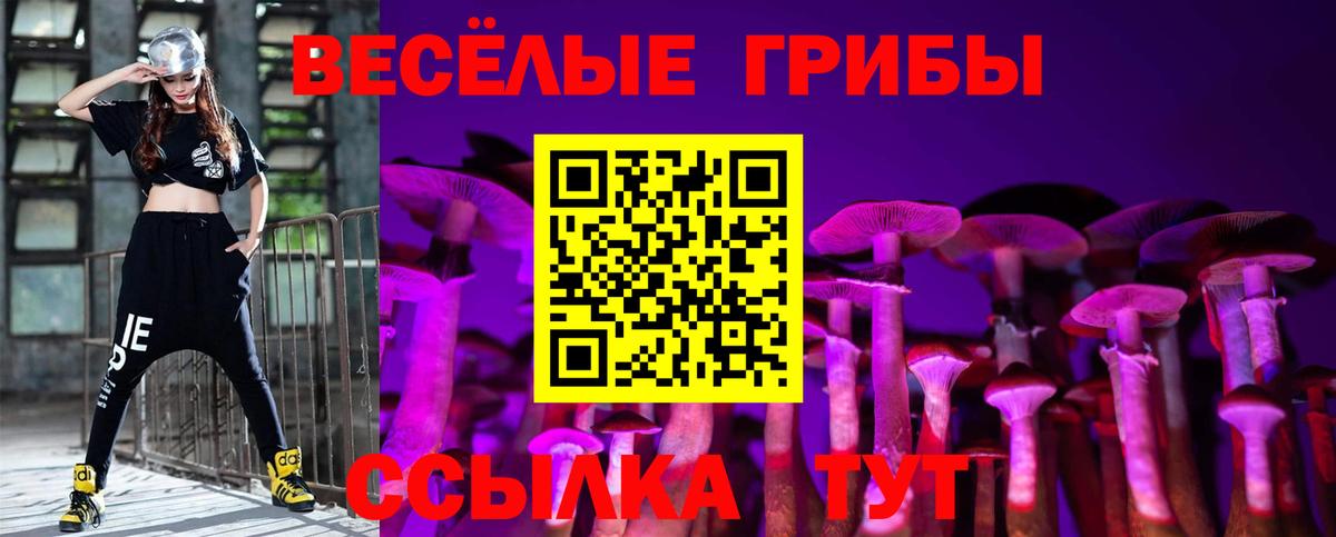 Чусовой  Псилоцибиновые грибы мухоморы  Вход с VPN 